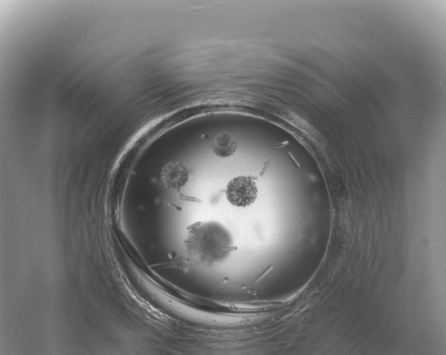 X0000054391120200508051640