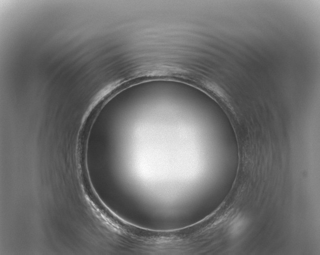 X0000054391122200508051640