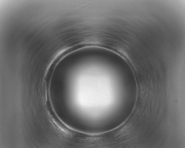 X0000054391123200508051640