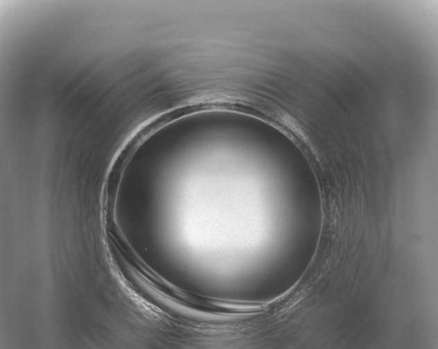 X0000054391124200508051640