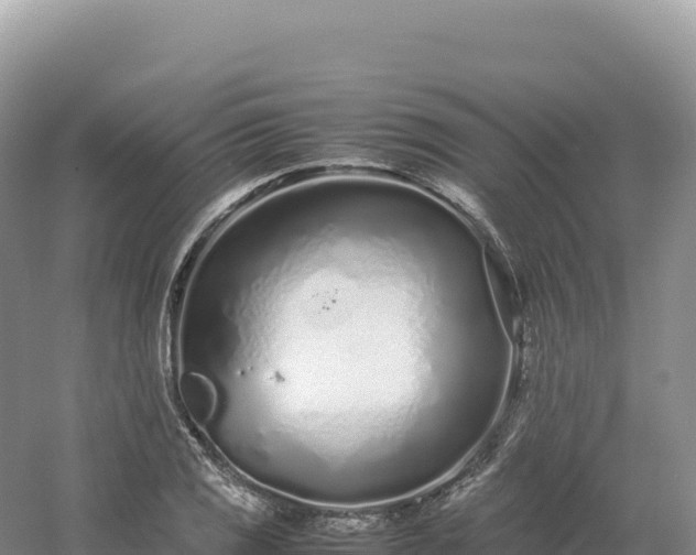 X0000054391125200508051640