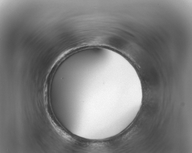 X0000054391126200508051640