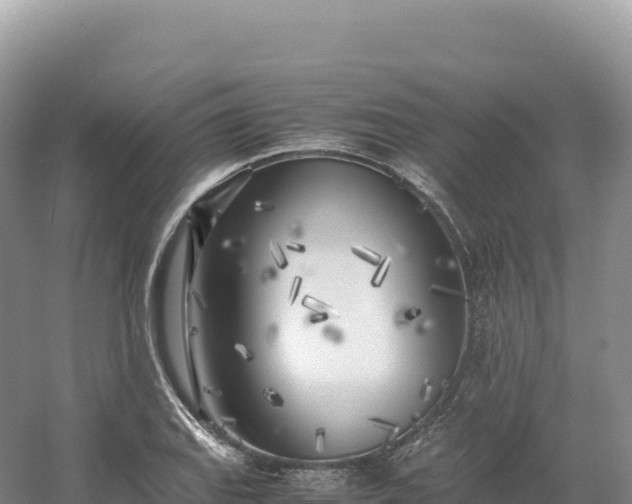 X0000054391127200508051640