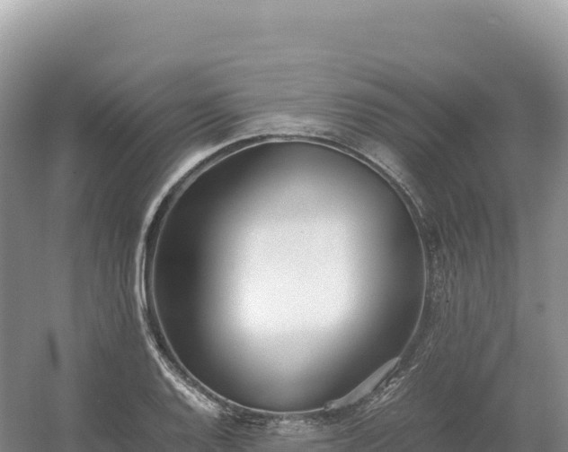 X0000054391128200508051640