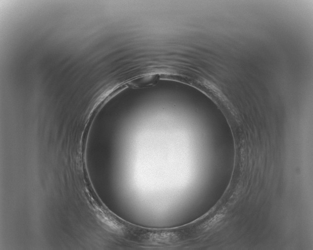 X0000054391129200508051640