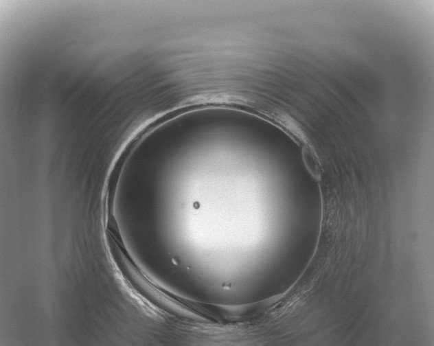 X0000054391132200508051640