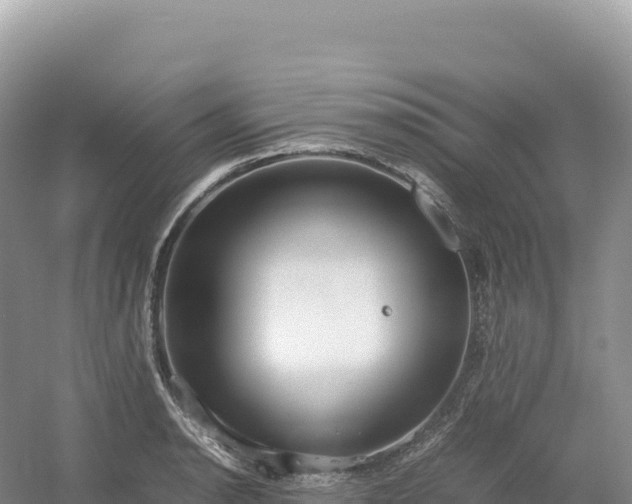 X0000054391134200508051640