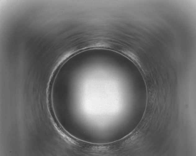 X0000054391135200508051640