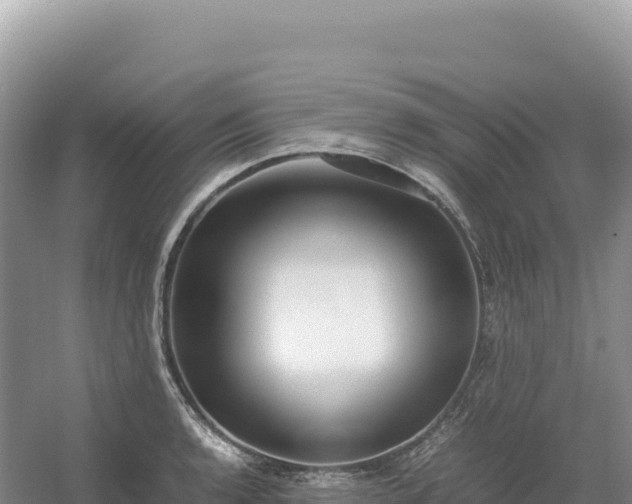 X0000054391136200508051640