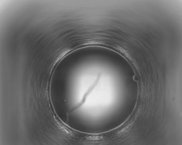 X0000054391137200508051640