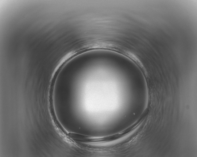 X0000054391138200508051640