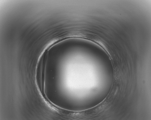 X0000054391139200508051640