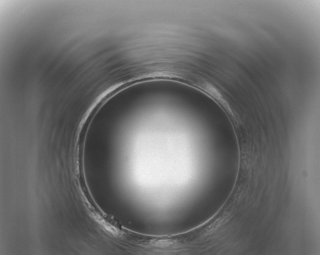 X0000054391140200508051640