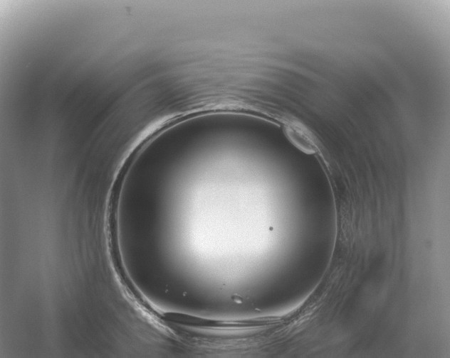 X0000054391142200508051641