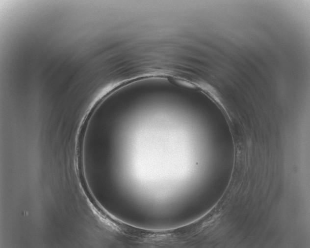 X0000054391143200508051641