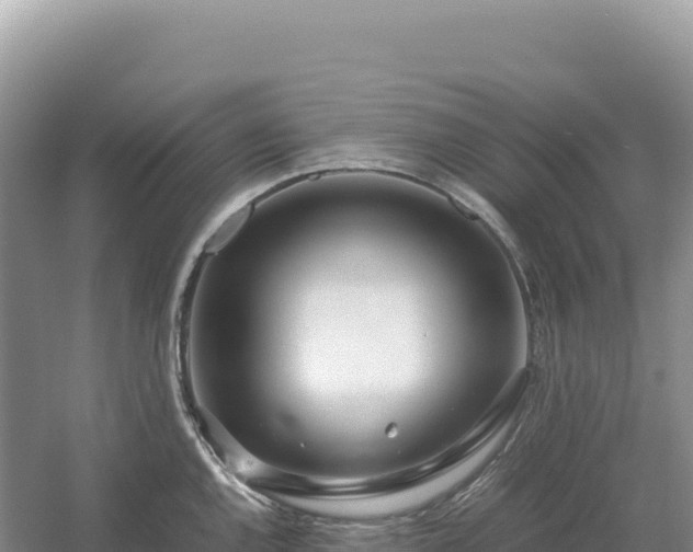 X0000054391144200508051641