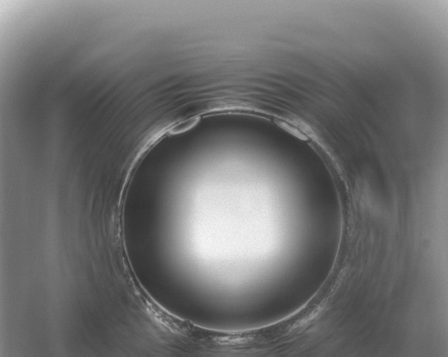 X0000054391145200508051641