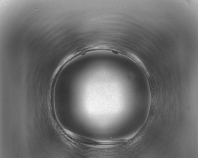 X0000054391146200508051641