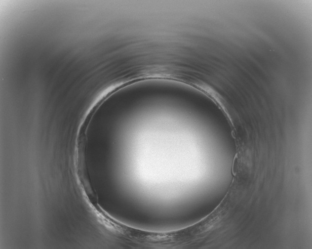 X0000054391147200508051641