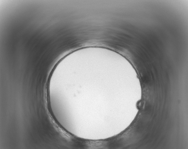 X0000054391150200508051641