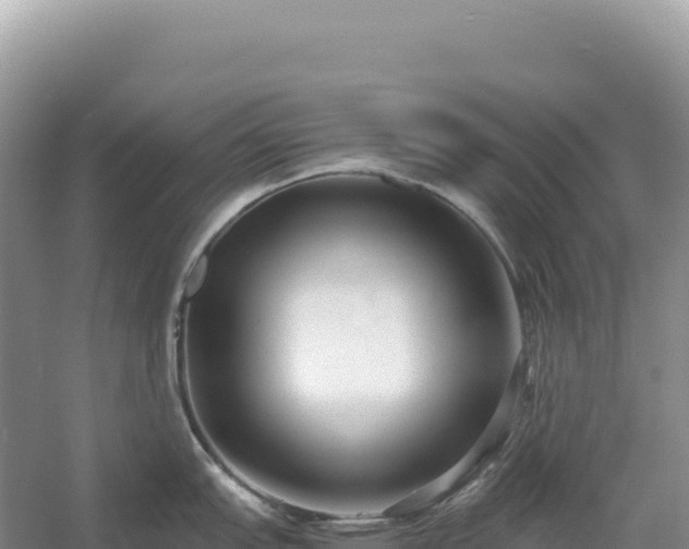 X0000054391151200508051641