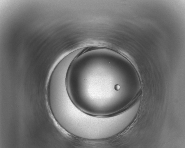 X0000054391152200508051641