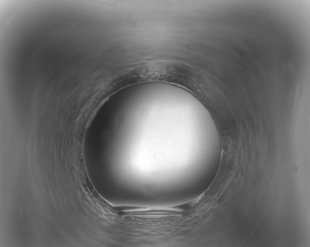 X0000054391153200508051640