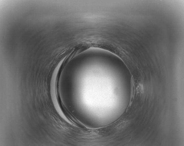 X0000054391156200508051640