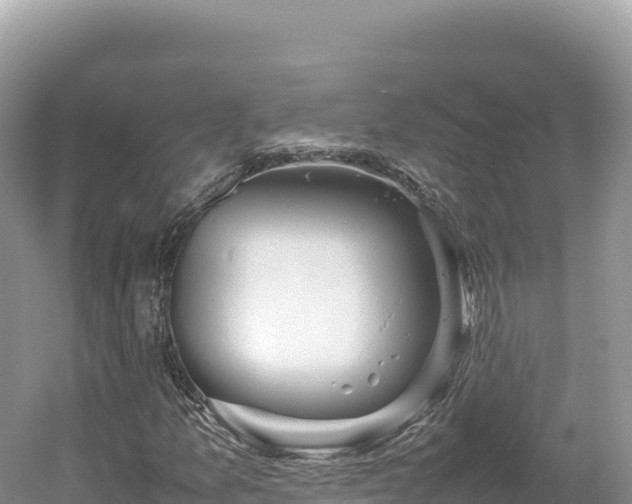 X0000054391157200508051640