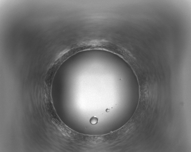 X0000054391158200508051640