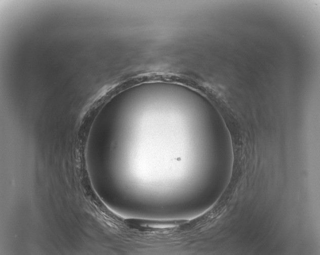 X0000054391159200508051640