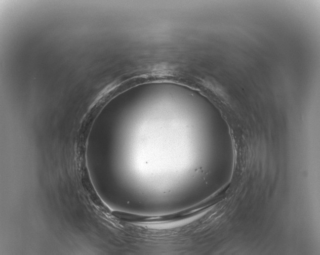 X0000054391160200508051640