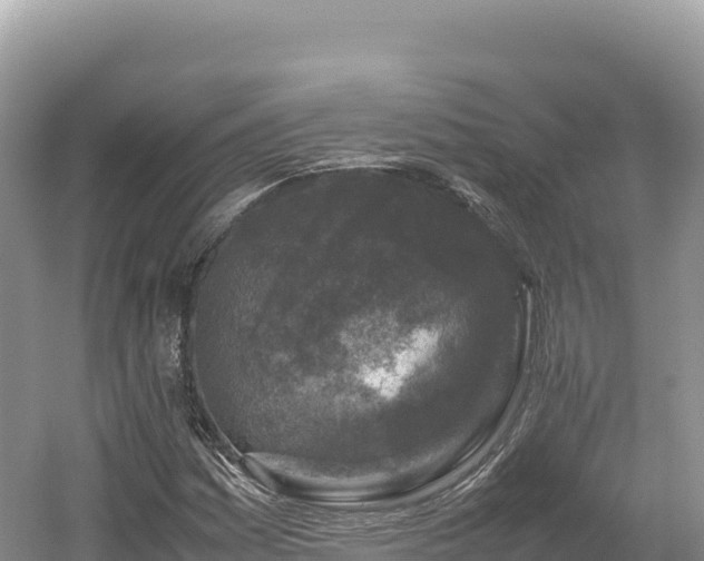 X0000054391161200508051640