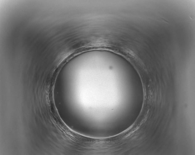 X0000054391162200508051640