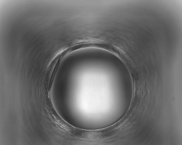 X0000054391163200508051640