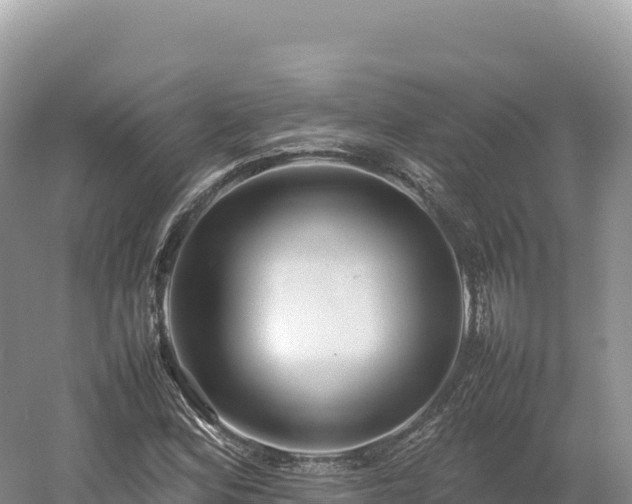 X0000054391164200508051640