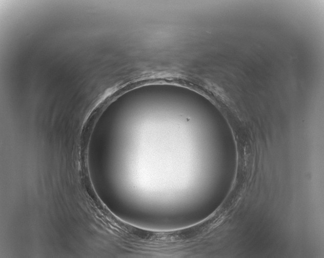 X0000054391165200508051640