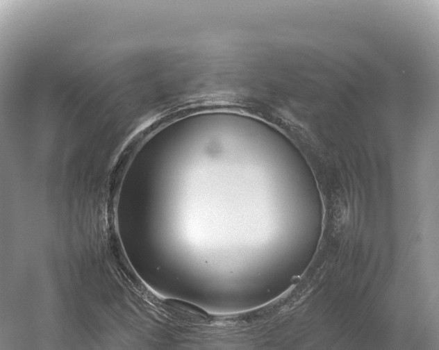 X0000054391166200508051640