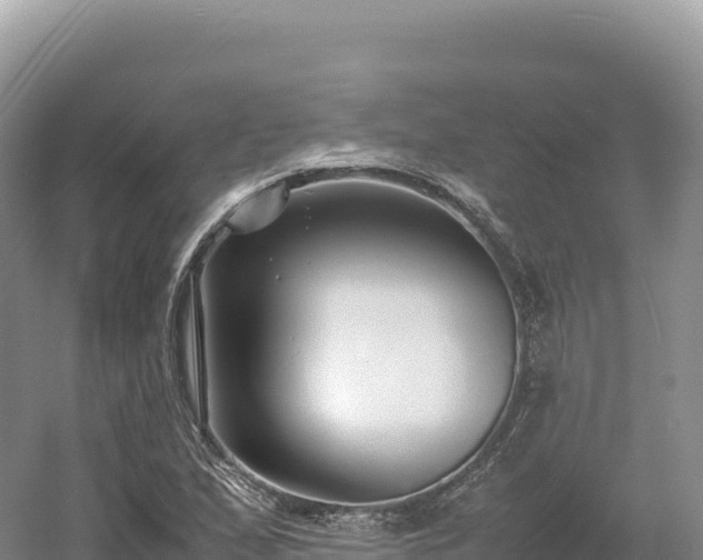 X0000054391167200508051640