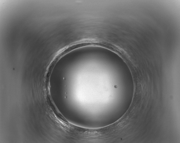 X0000054391168200508051640