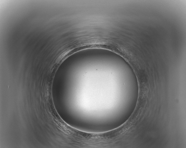 X0000054391169200508051640