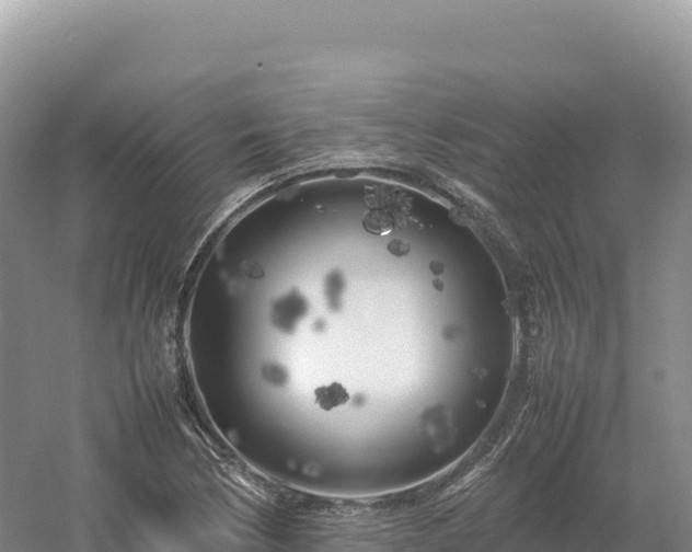 X0000054391170200508051640