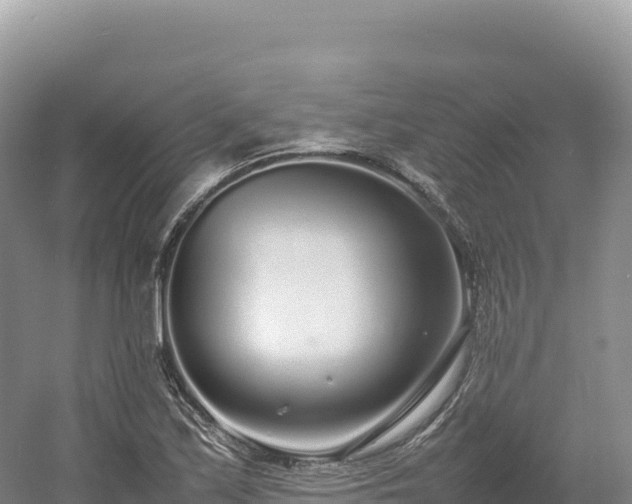 X0000054391171200508051640