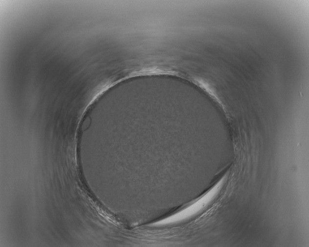 X0000054391173200508051640