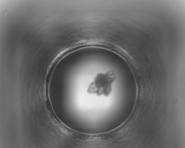 X0000054391174200508051640