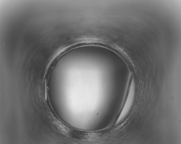 X0000054391175200508051640