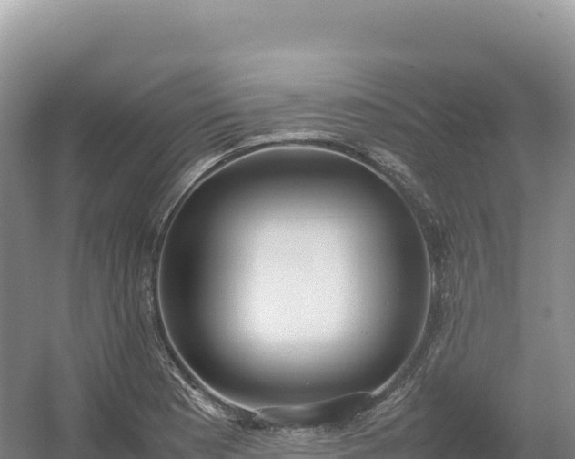 X0000054391177200508051639