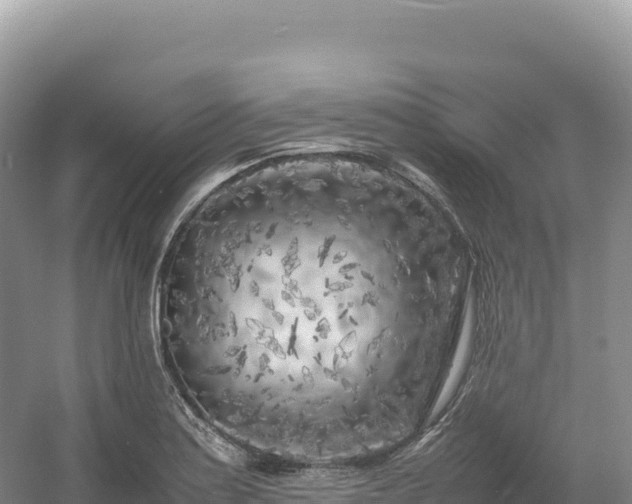 X0000054391179200508051639