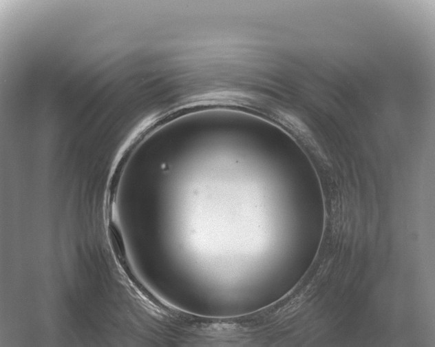 X0000054391180200508051639