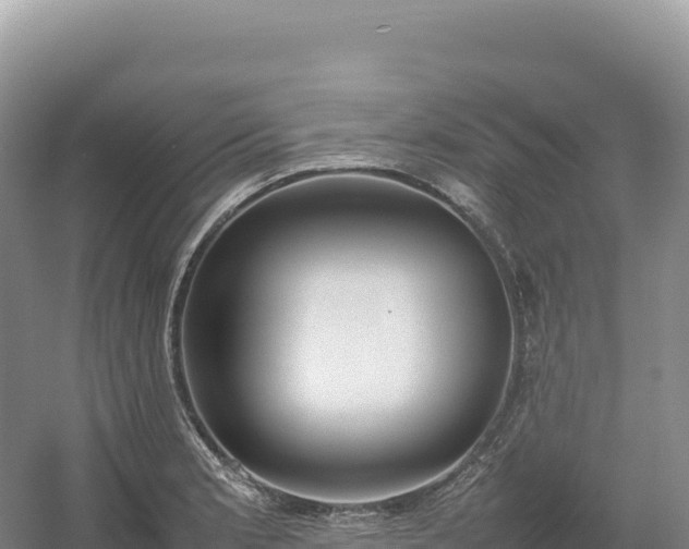 X0000054391181200508051639